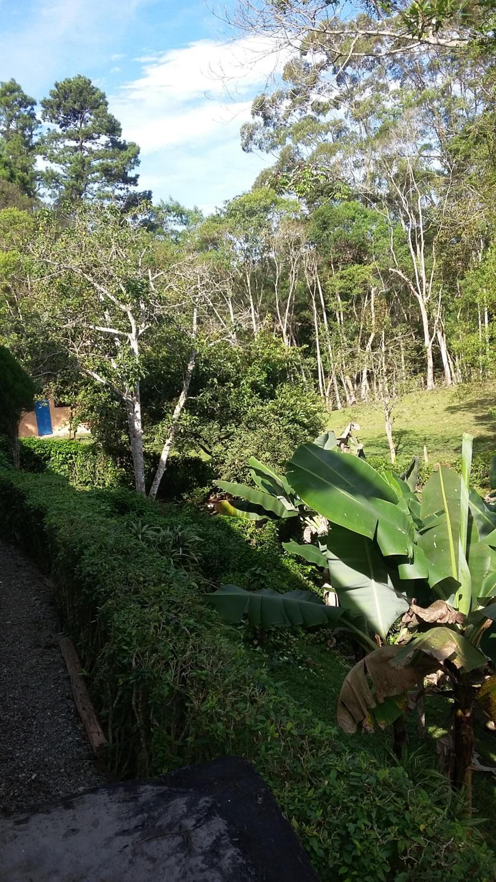 Refúgio em meio à mata Atlântica