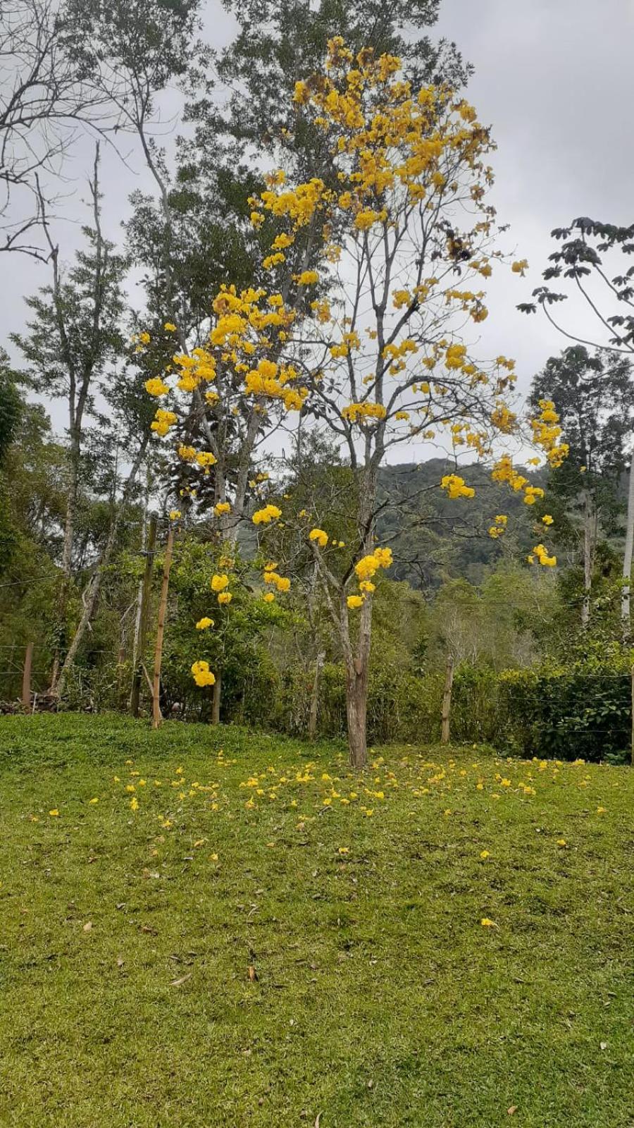 Refúgio em meio à mata Atlântica