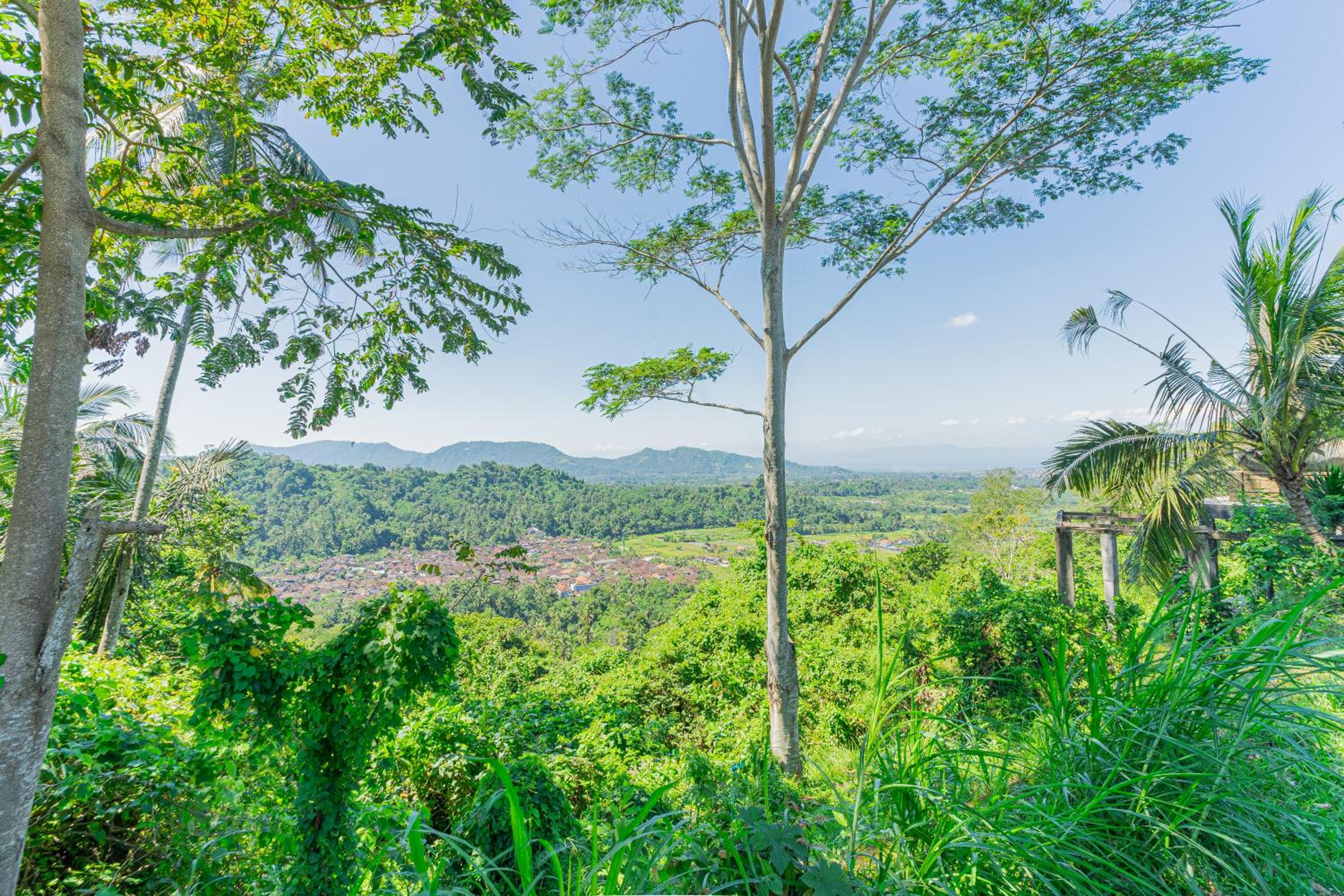 Lembah Wanna view 2