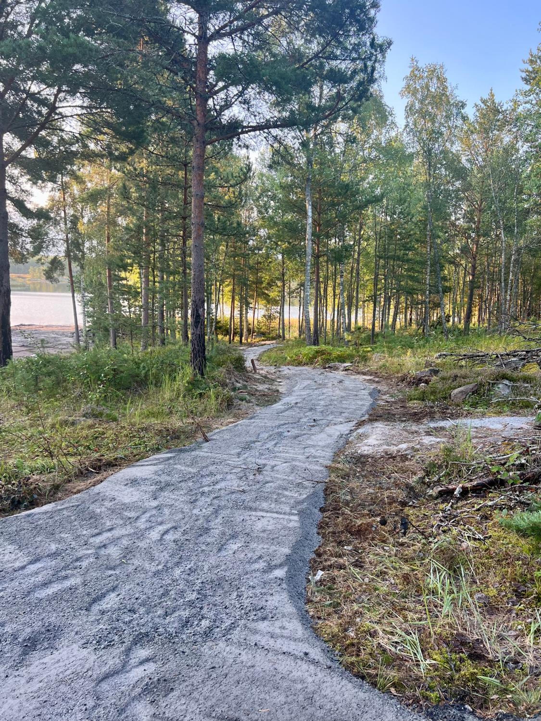 Hemvik