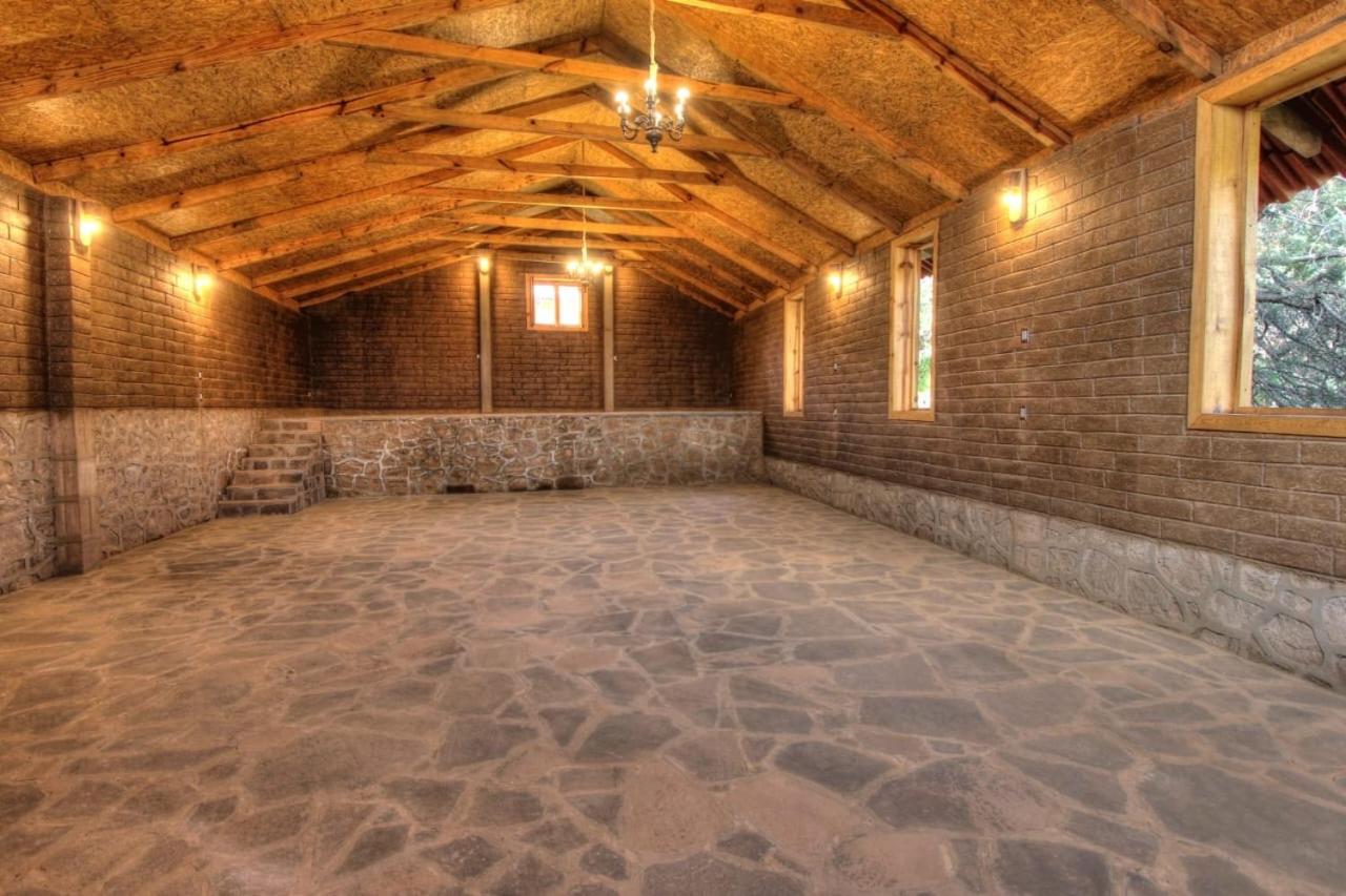 Photo 19