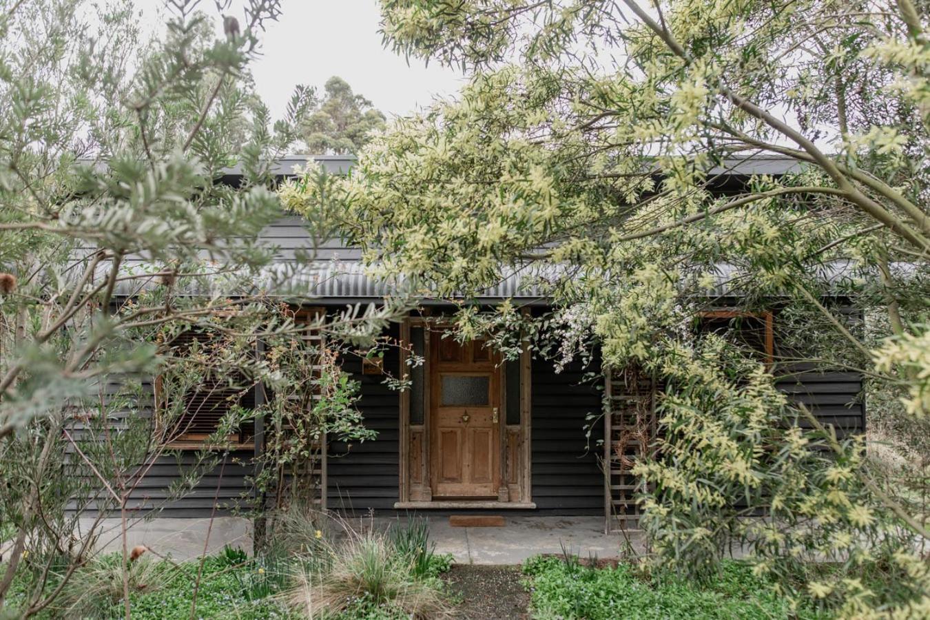 LUMI cottage in Cygnet art food and nature haven