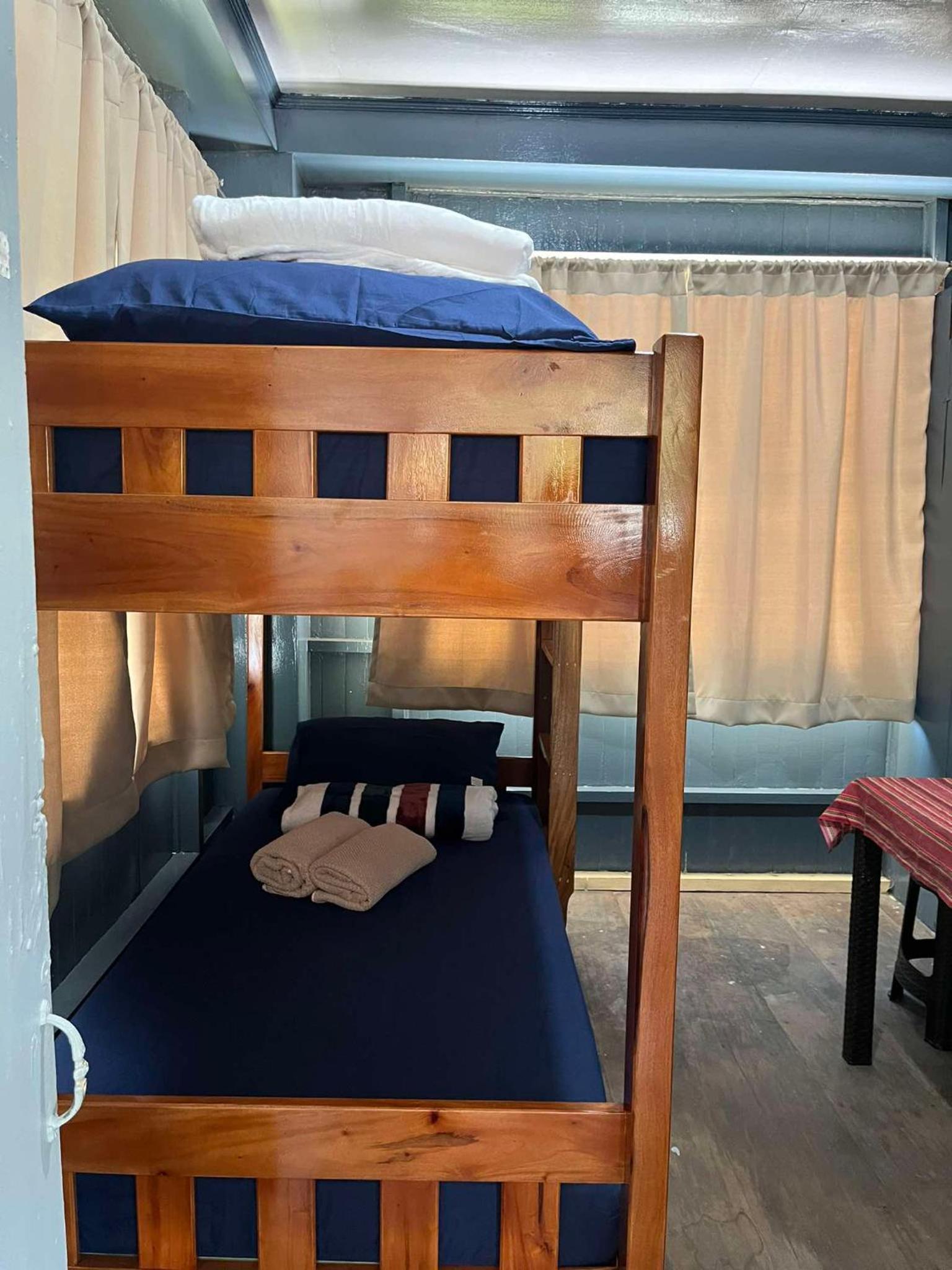 Backpacker's Lodge - Fan Room view 3