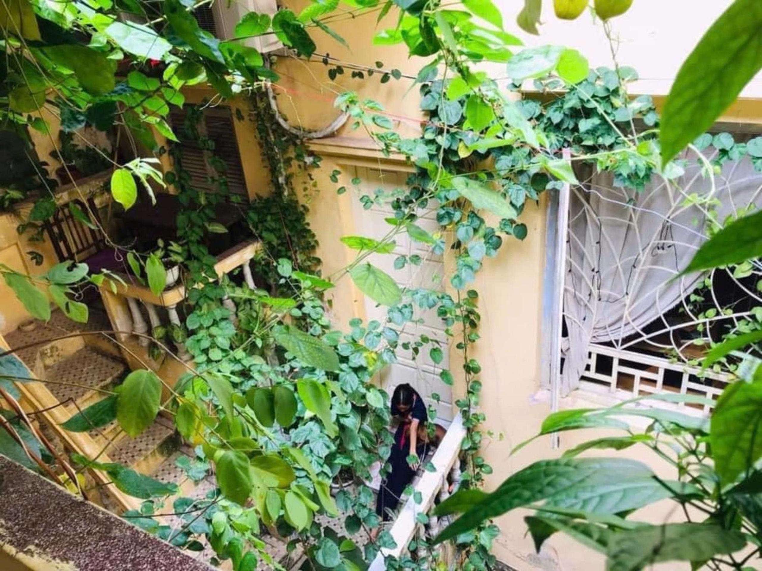 Azalea Apartment