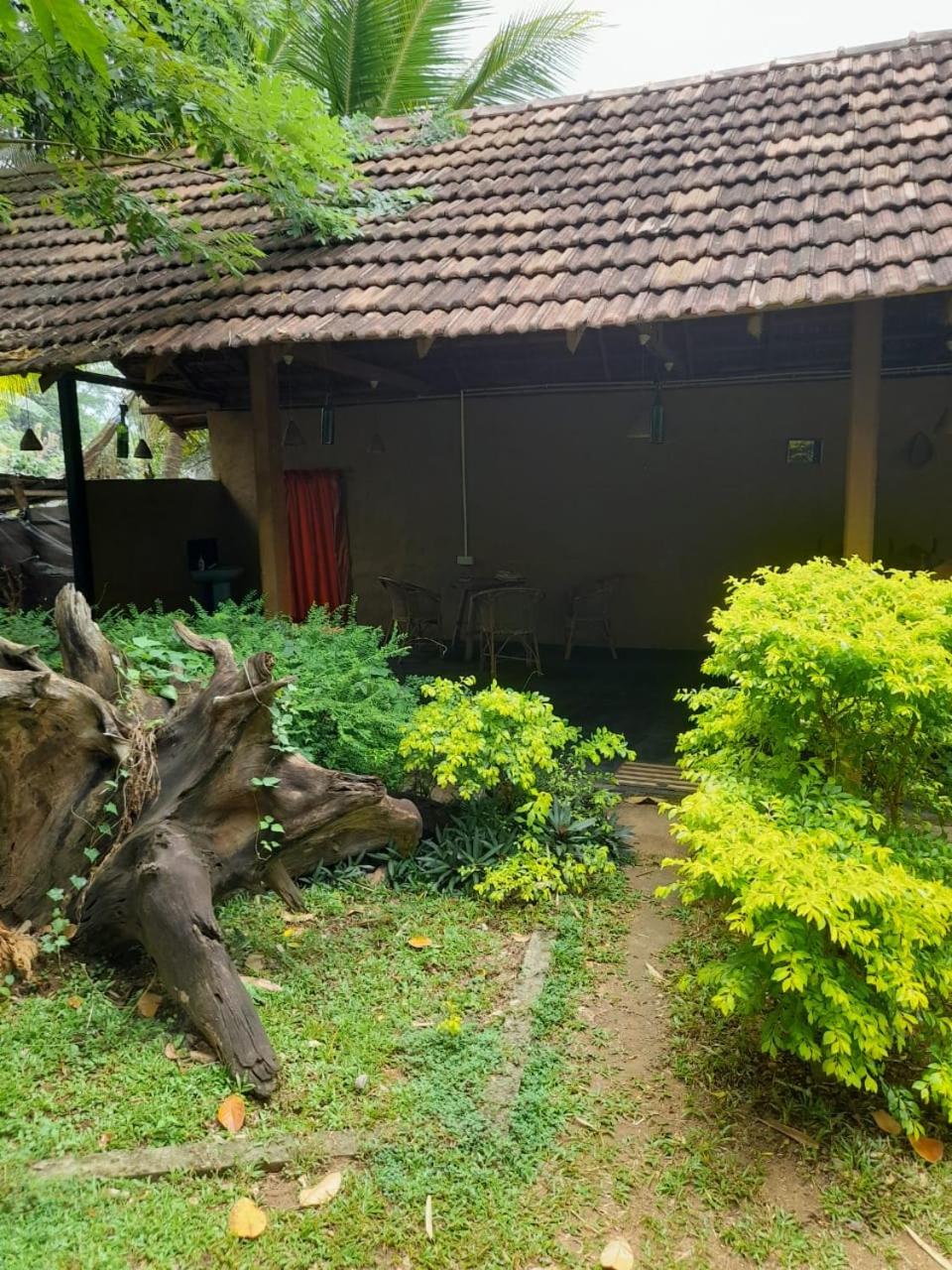 Photo 29