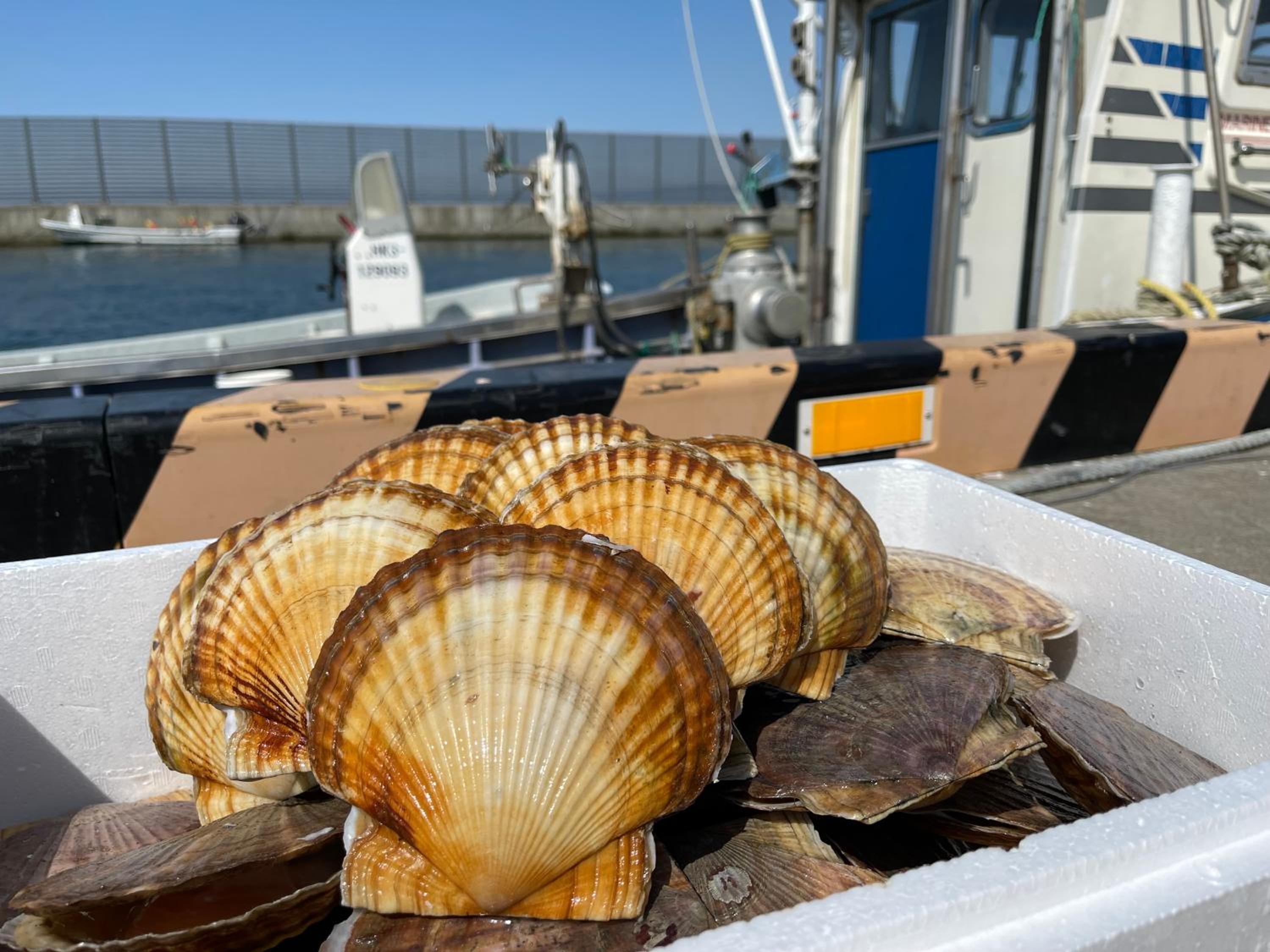 オホーツクの海の幸が食べられる 漁師の家ゲストハウスOhana