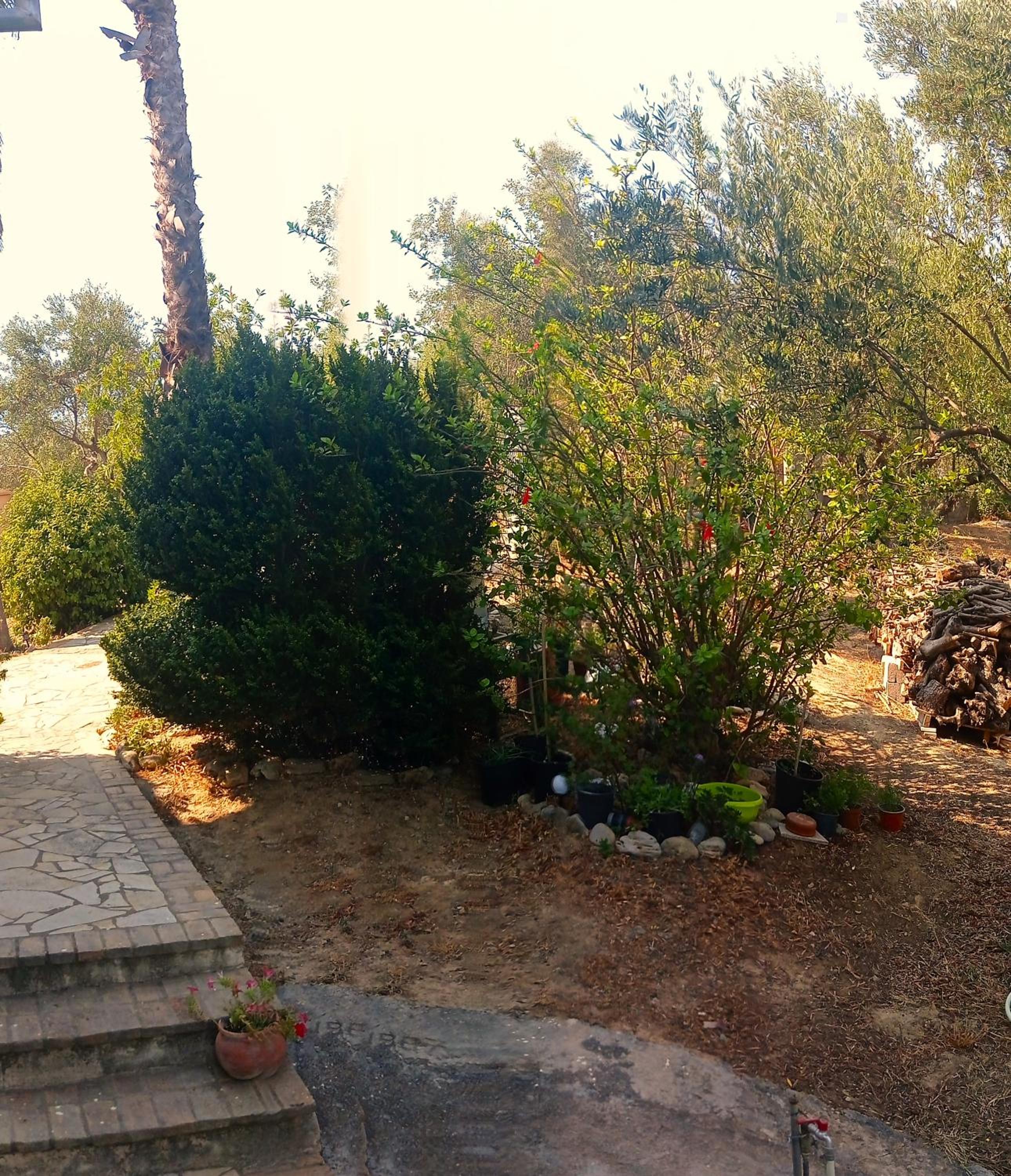 Tritsili house