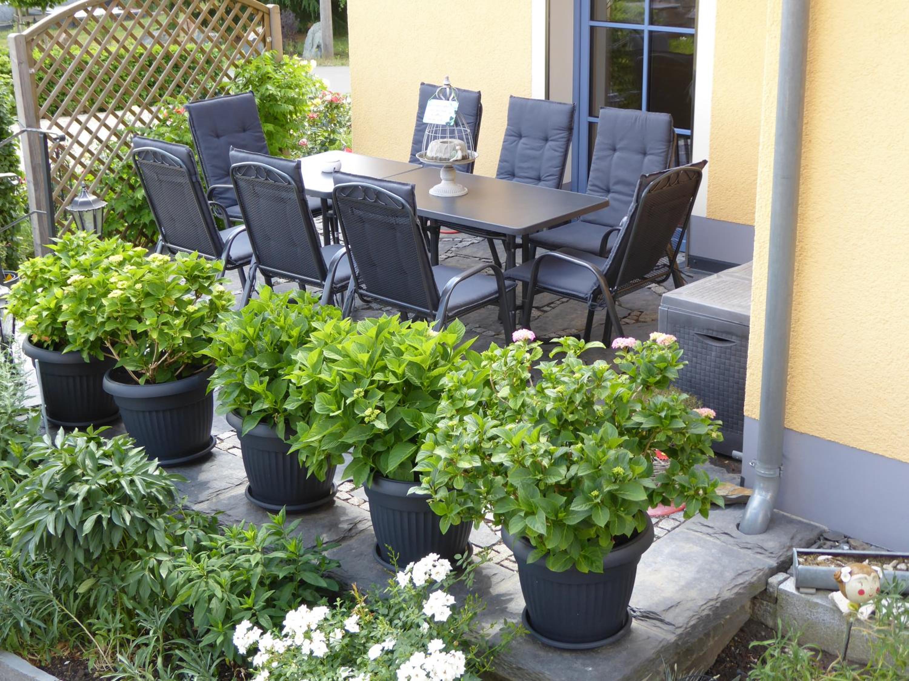 Elferhof Ferienwohnungen