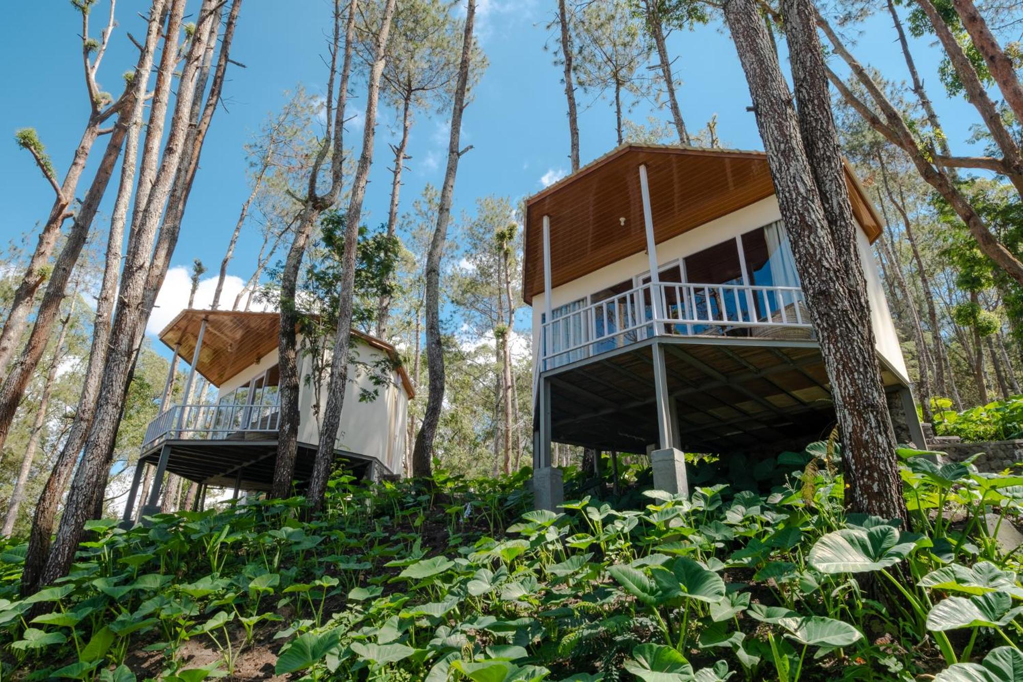 La Pino Mount Batur and Hot Spring
