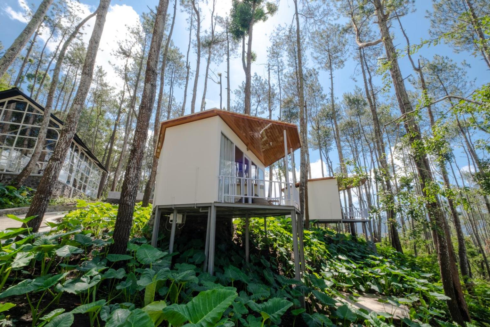 La Pino Mount Batur and Hot Spring