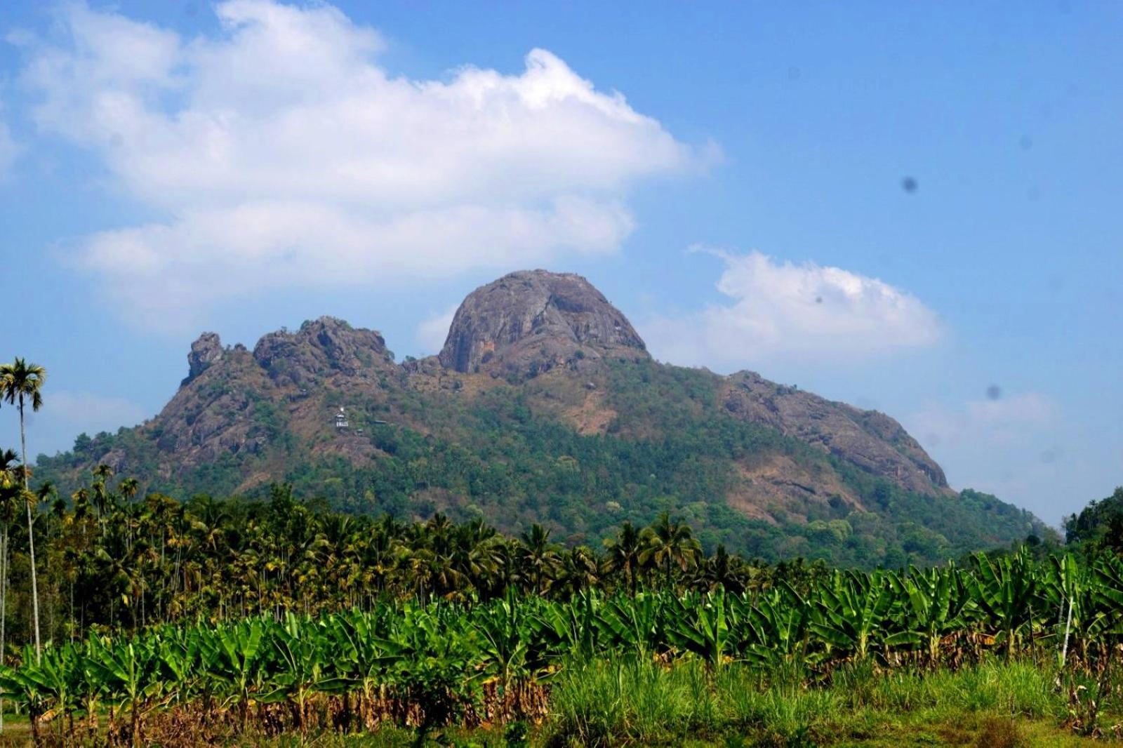 Vihaara Wayanad Serviced Villa