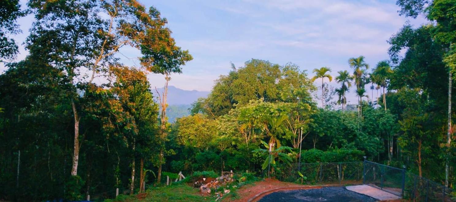 Vihaara Wayanad Serviced Villa