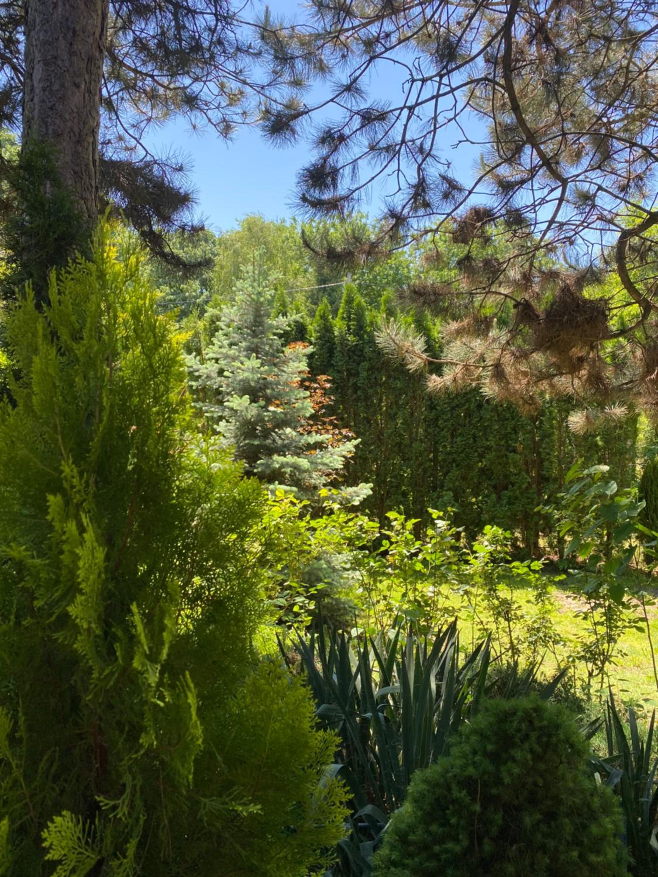 Photo 6