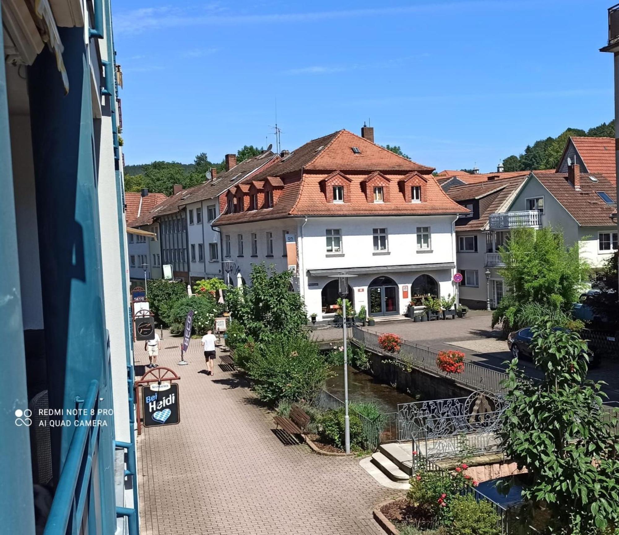 Ferienwohnung Roswitha am Park