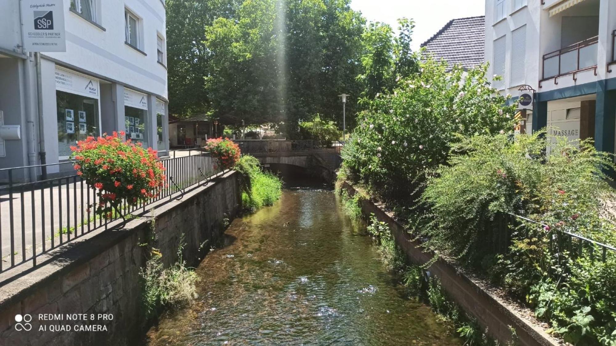 Ferienwohnung Roswitha am Park