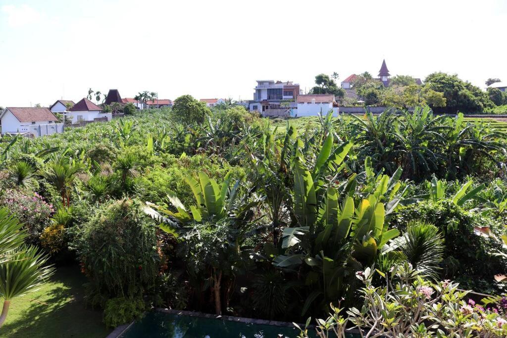 Villa Masna Spacious 4 bdr in Canggu