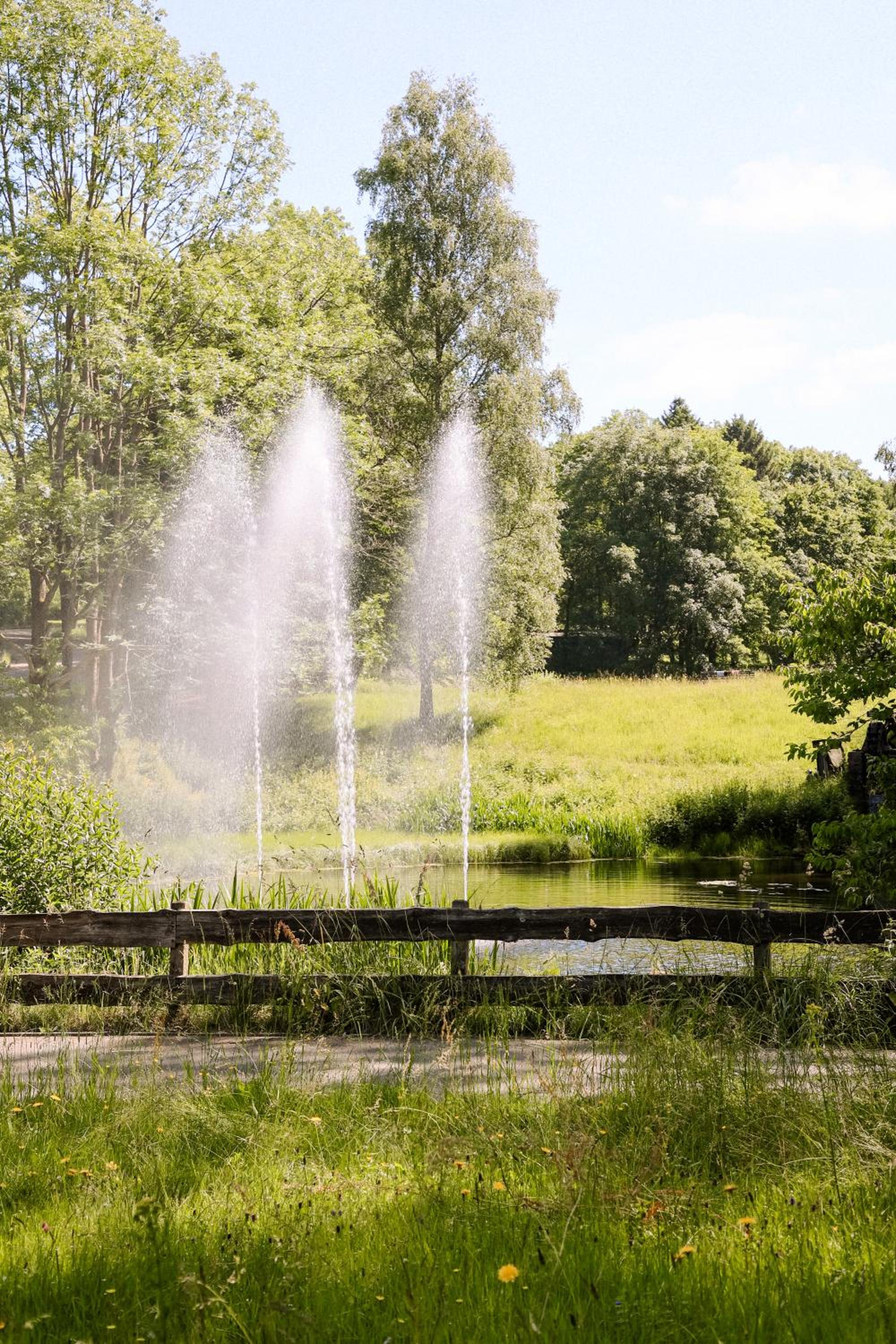 Terrassenhaus im Harz, Pool, Sauna, WLAN