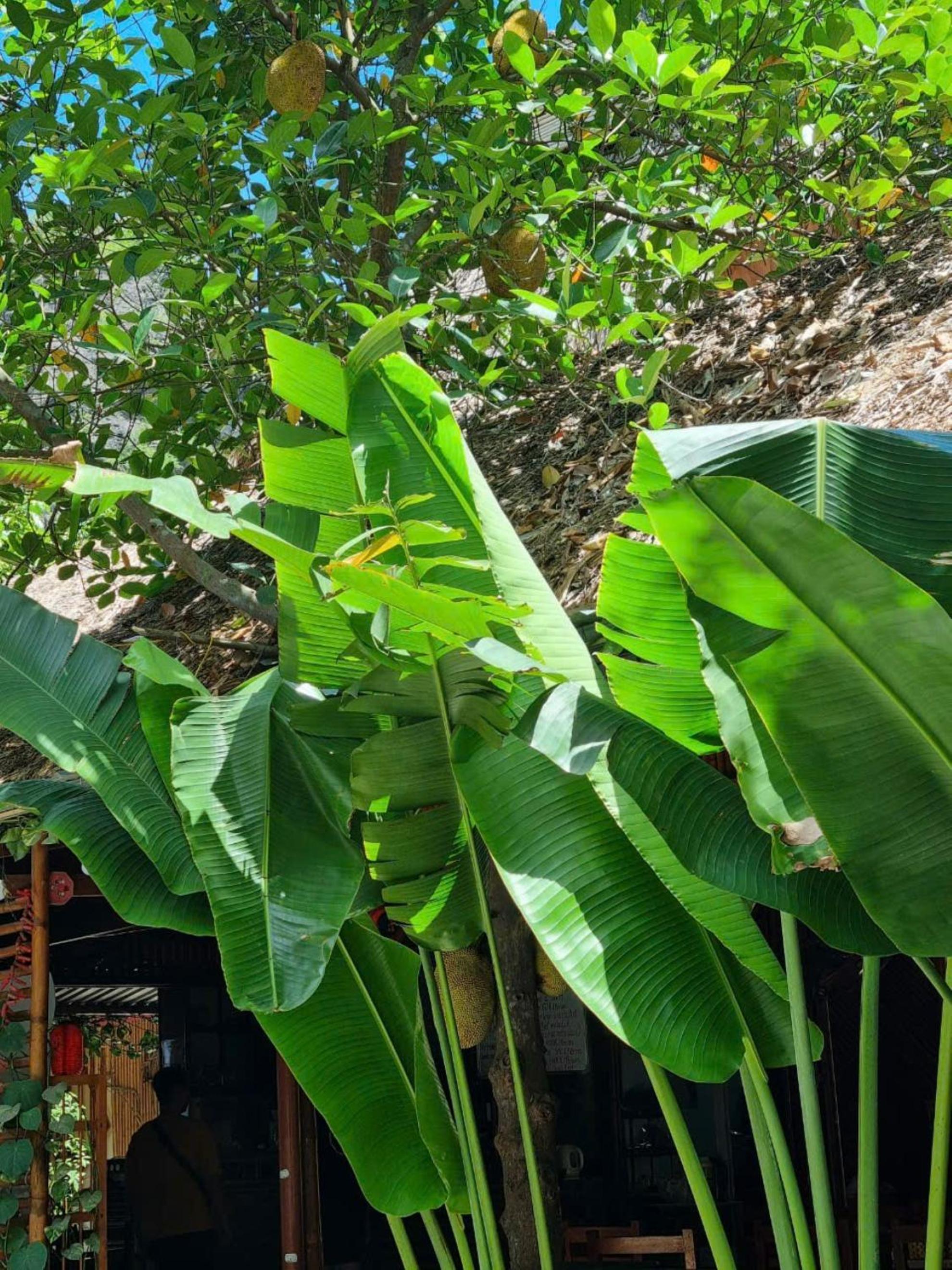 Hoa lu Eco Homestay