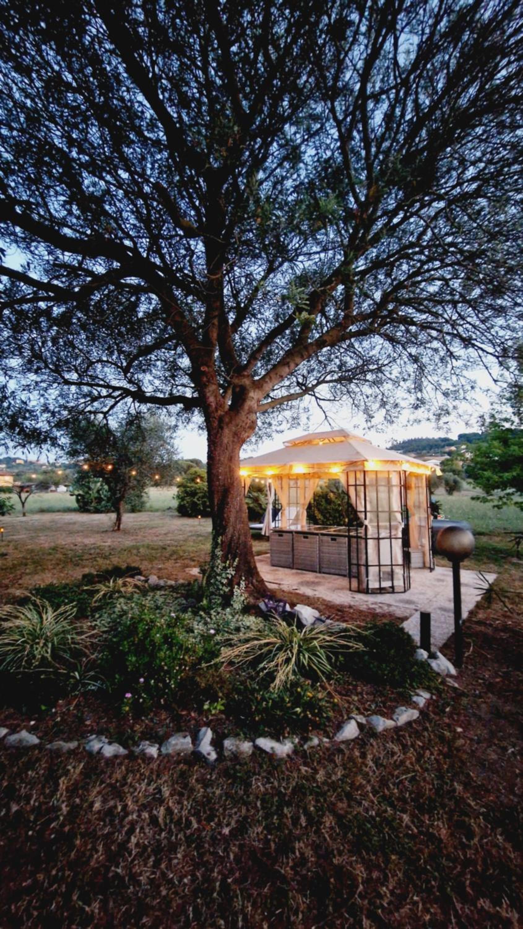 Photo 117