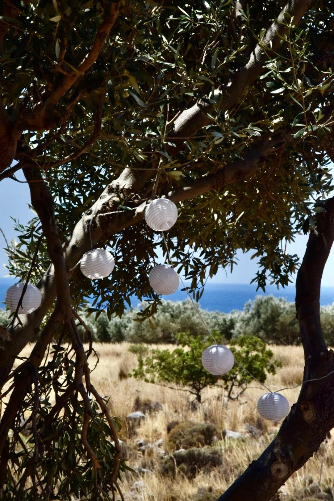 Agros simple living