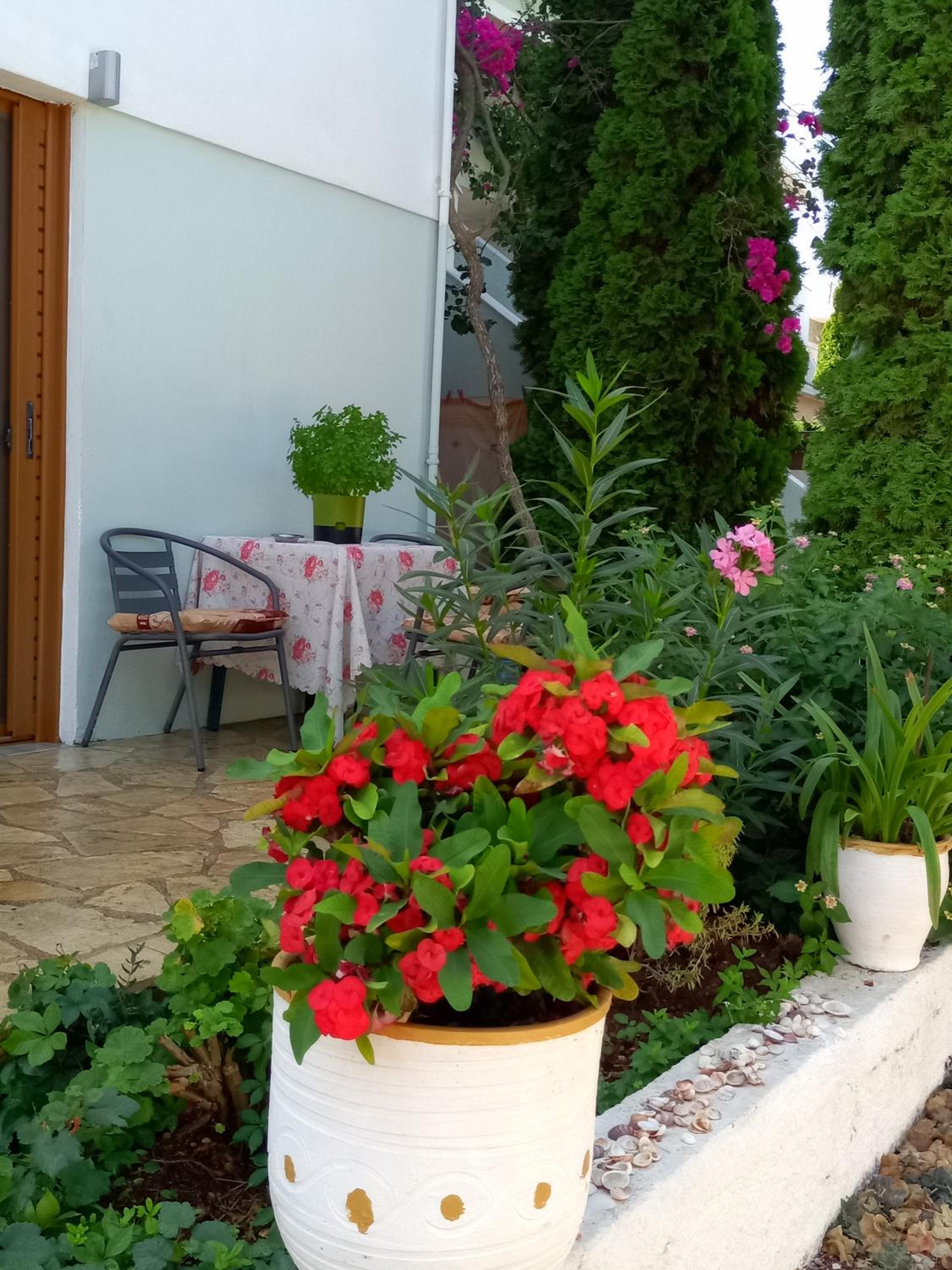 Baci Apartments