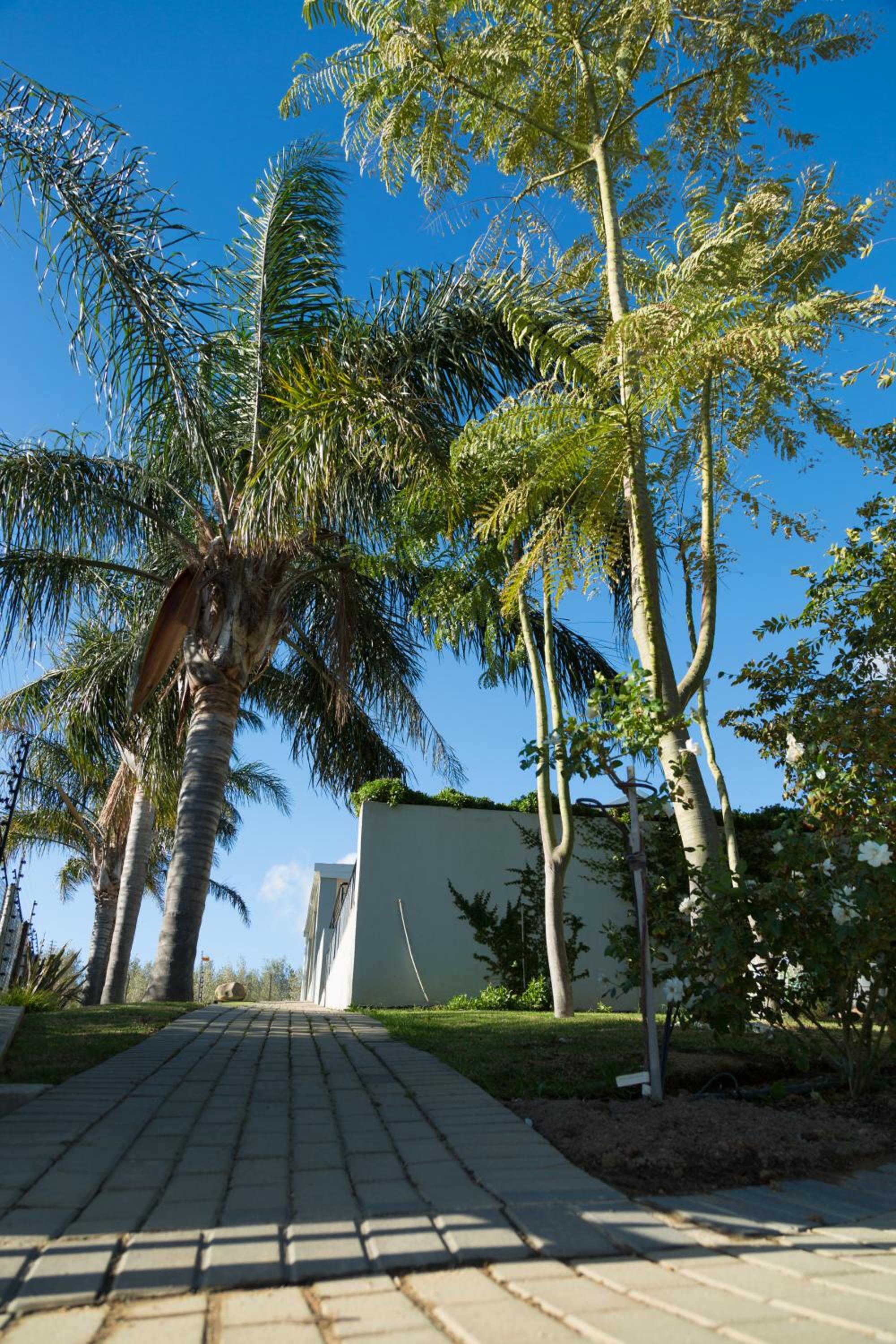 Monte Vidéo Guesthouse