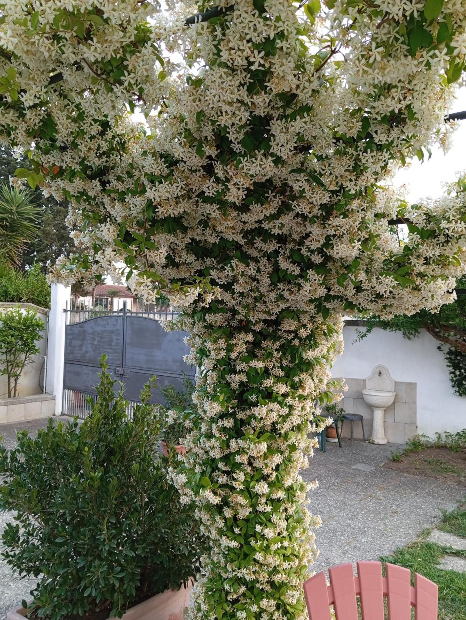 B&B Villa Sofia