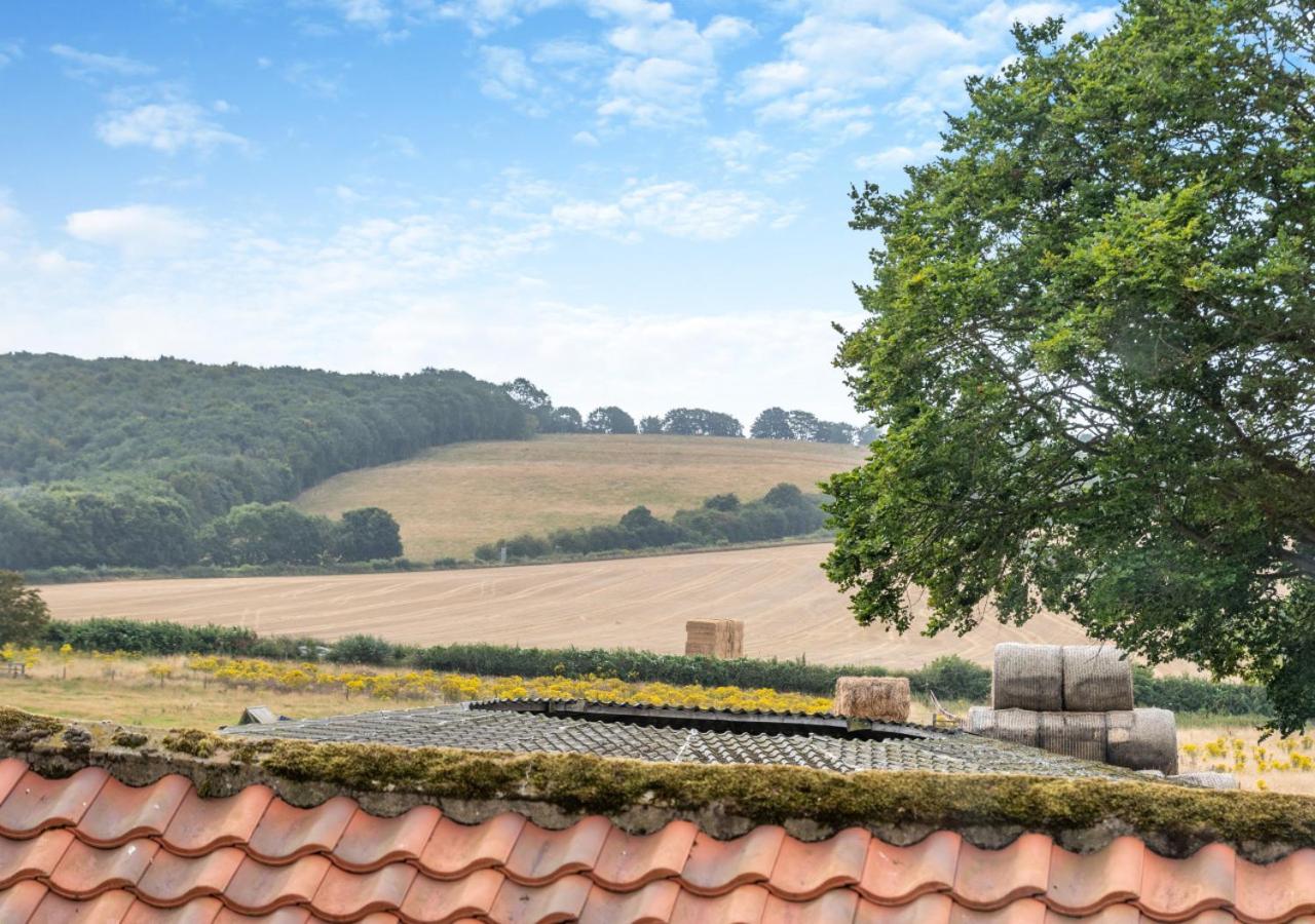 Willerby Grange Farm