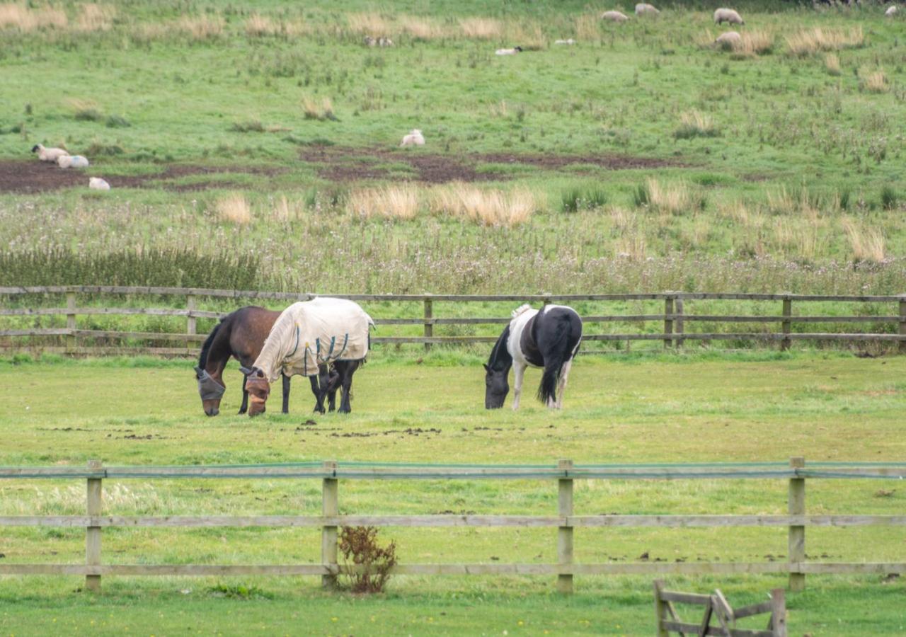 Willerby Grange Farm