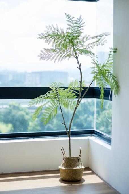 Japanese Design 4bedrooms with Kids Play Astoria