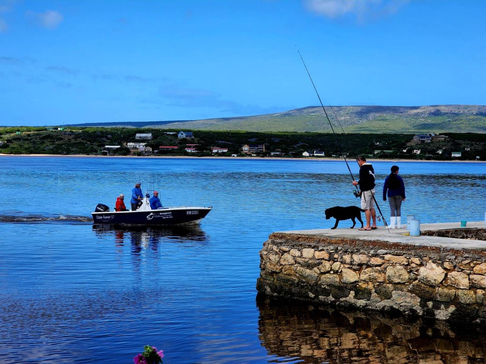Unit 301 Little Whale's Tail Self-catering Studio view 4