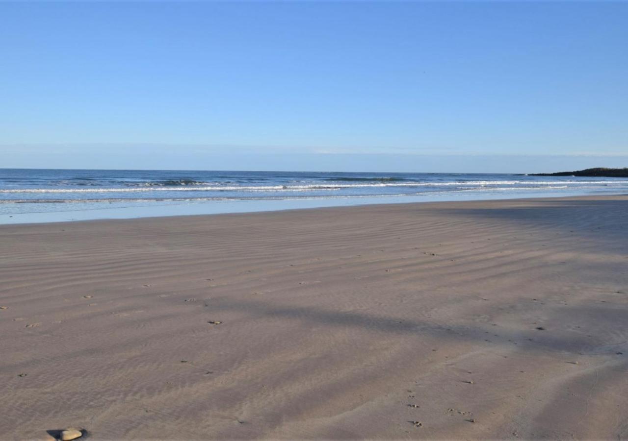 Coquet
