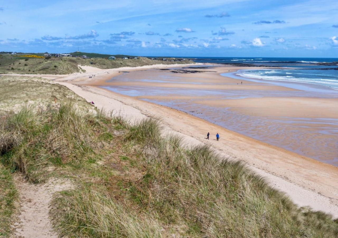 Coquet