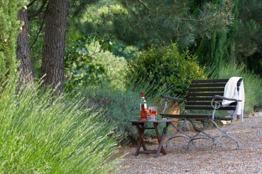 Podere Villole Toskana Chianti Apartment Firenze