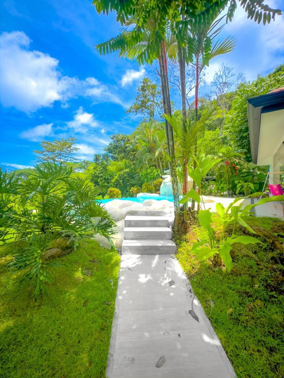 Modern Jungle Estate with Incredible Ocean View