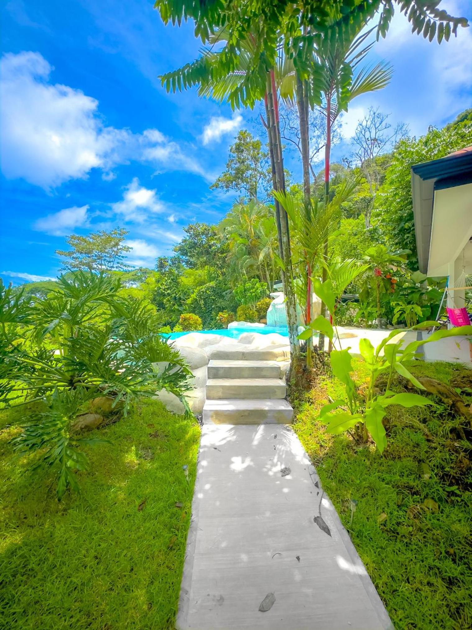 Modern Jungle Estate with Incredible Ocean View