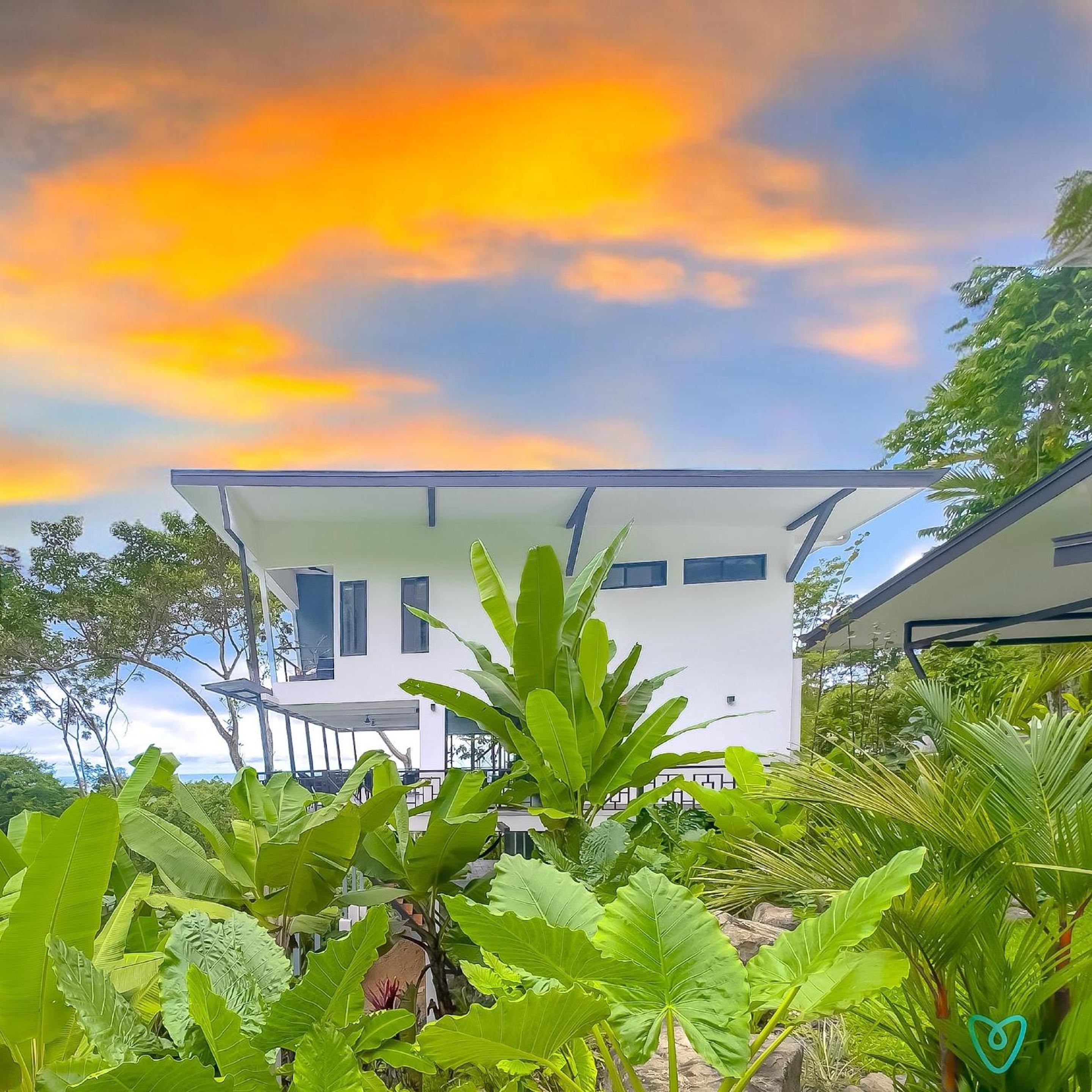 Modern Jungle Estate with Incredible Ocean View