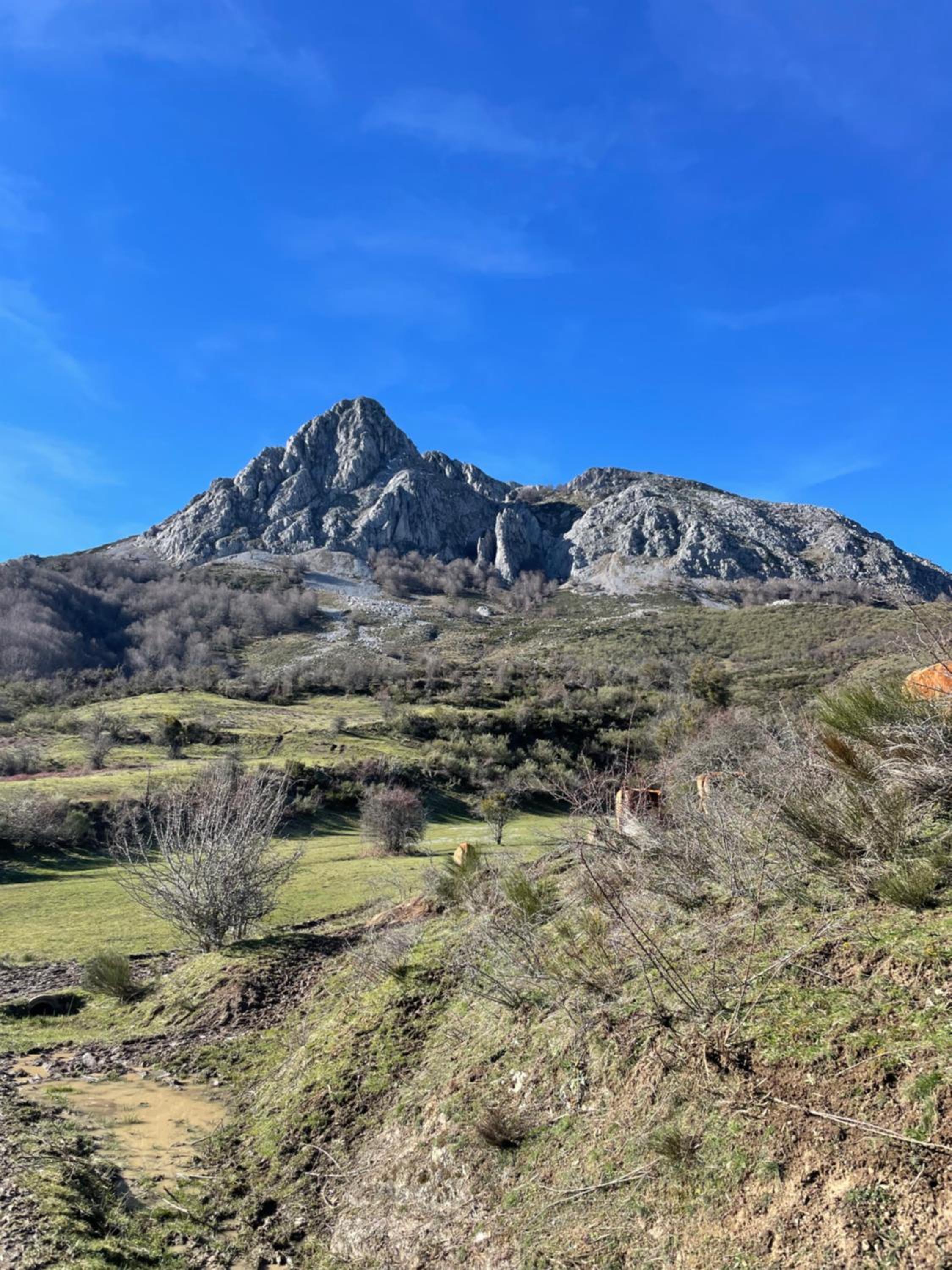 Casa Rural MONTE ROBLO