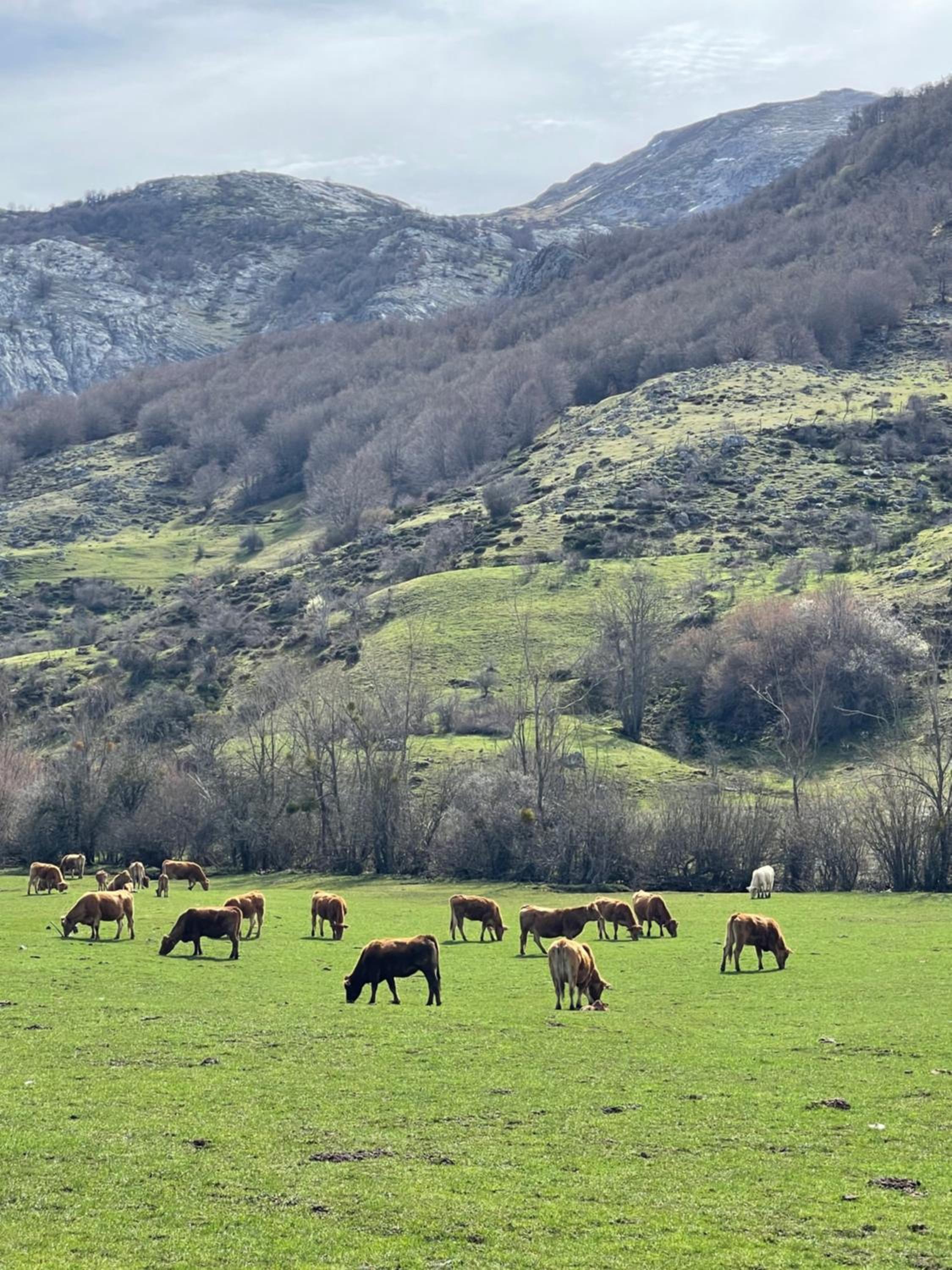 Casa Rural MONTE ROBLO