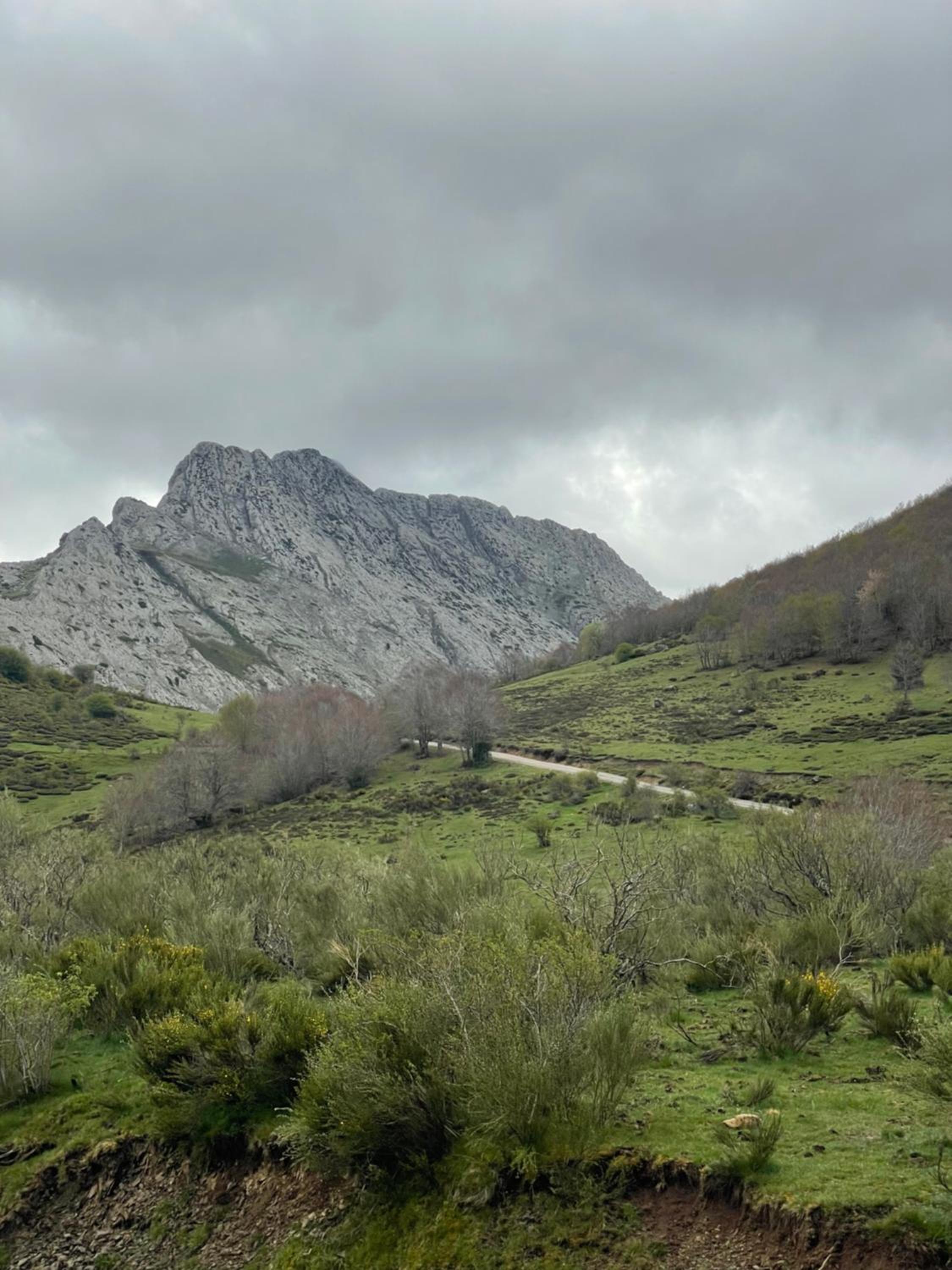 Casa Rural MONTE ROBLO