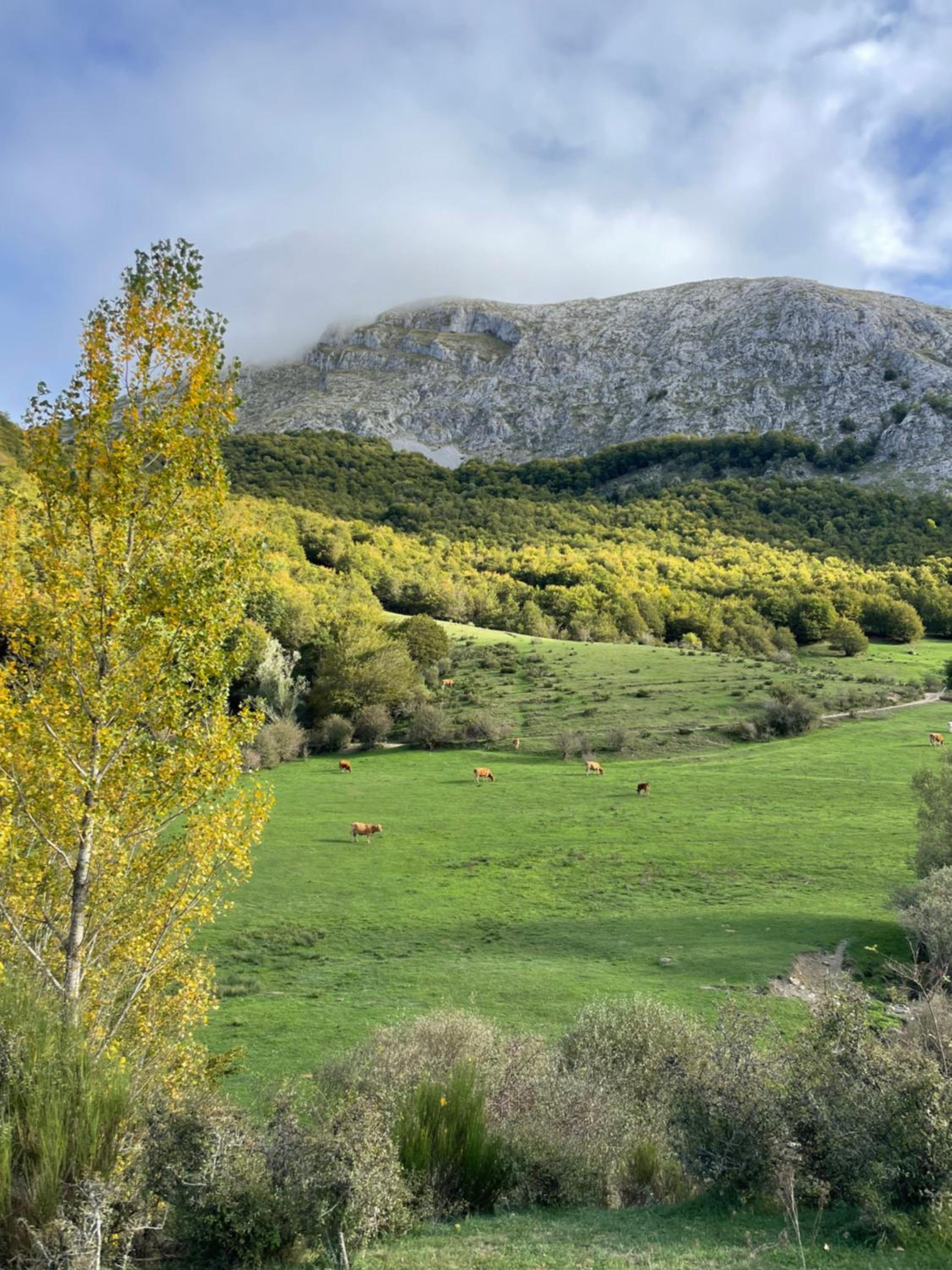 Casa Rural MONTE ROBLO