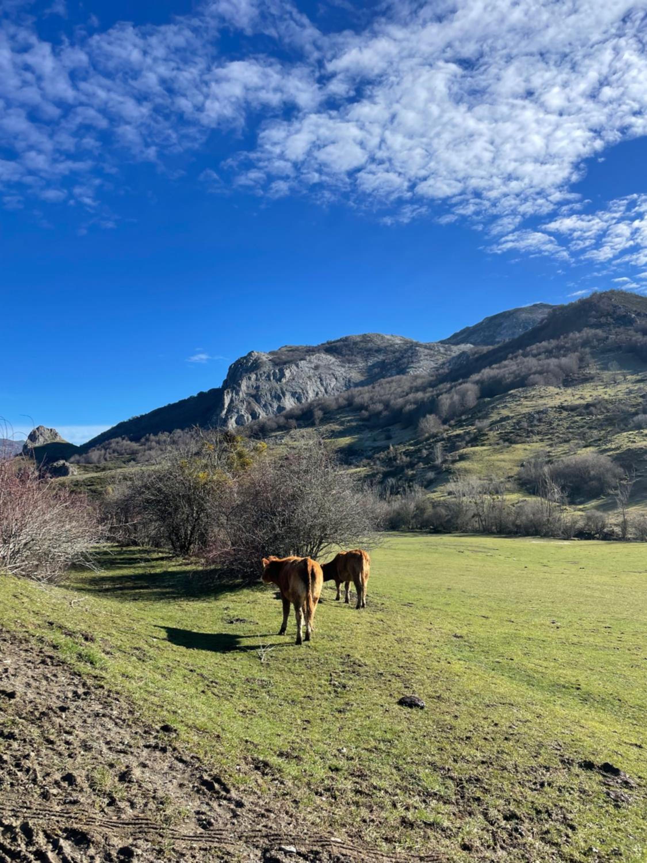 Casa Rural MONTE ROBLO