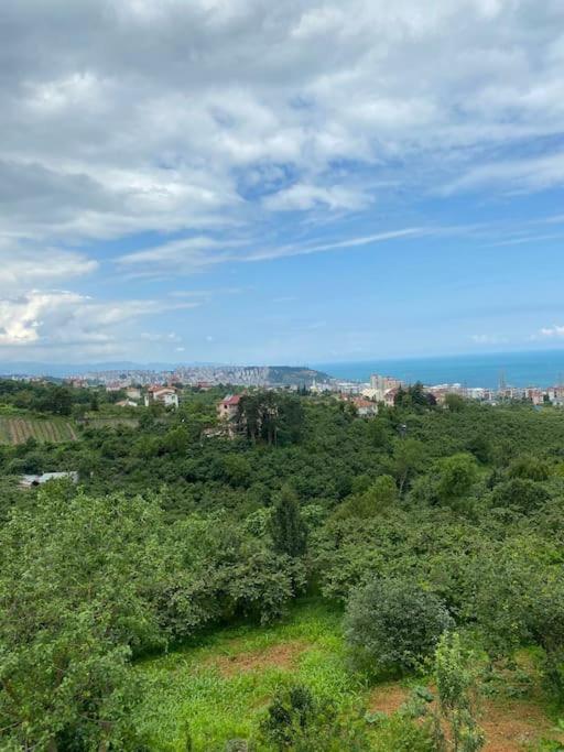 Trabzon Airport Green Garden Villa view 2