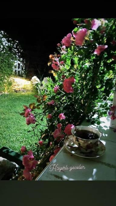Trabzon Airport Green Garden Villa view 4