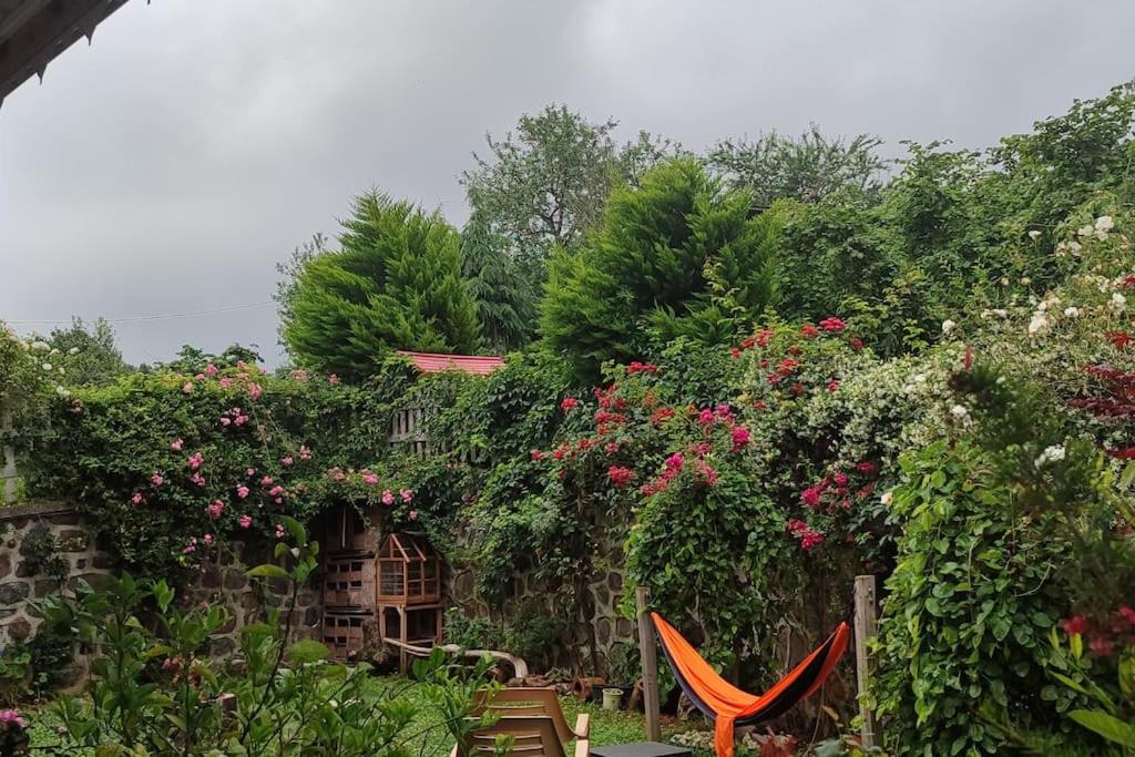 Trabzon Airport Green Garden Villa view 5