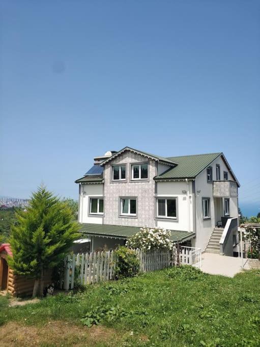 Photo 41