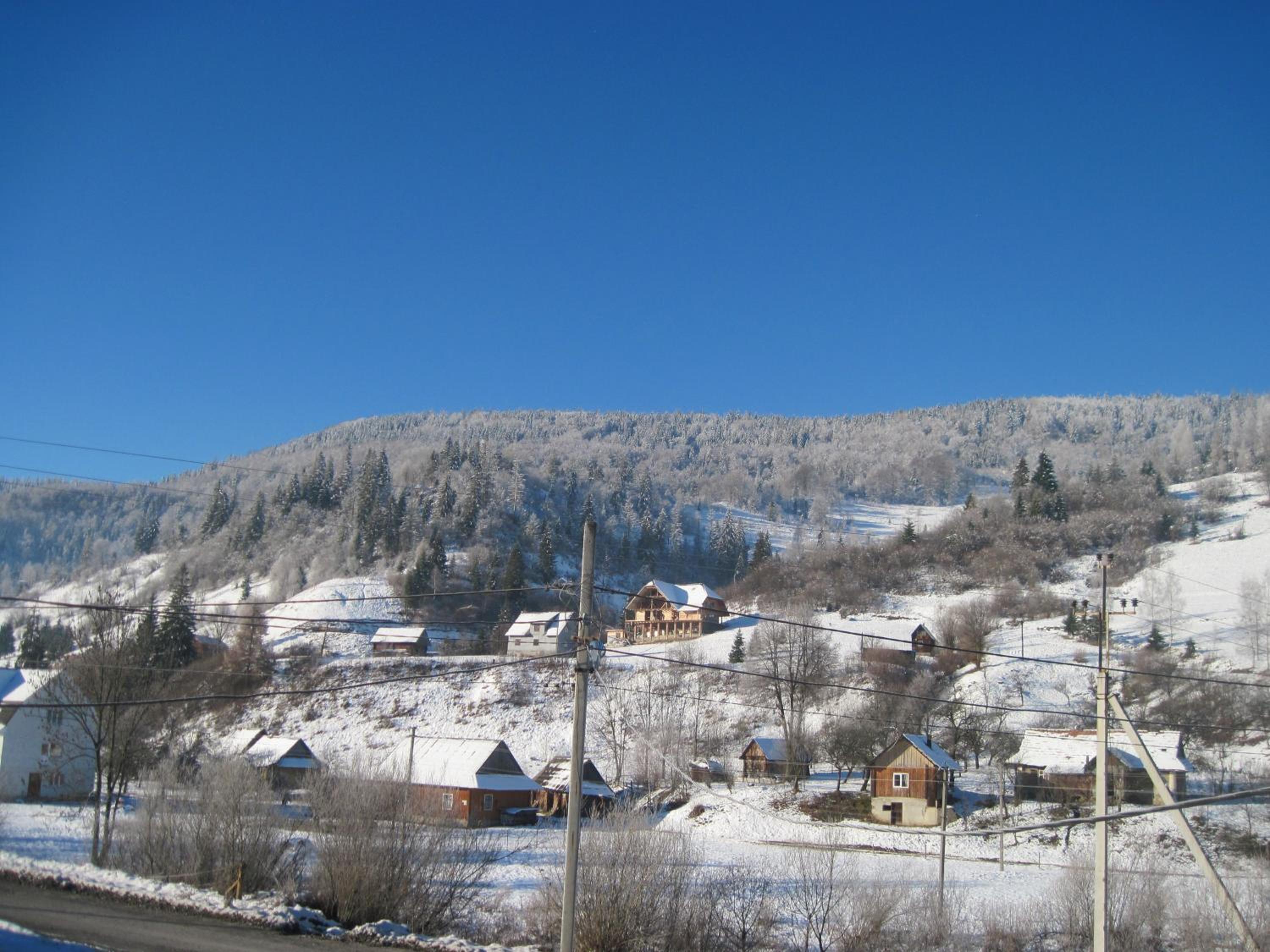 Photo 46