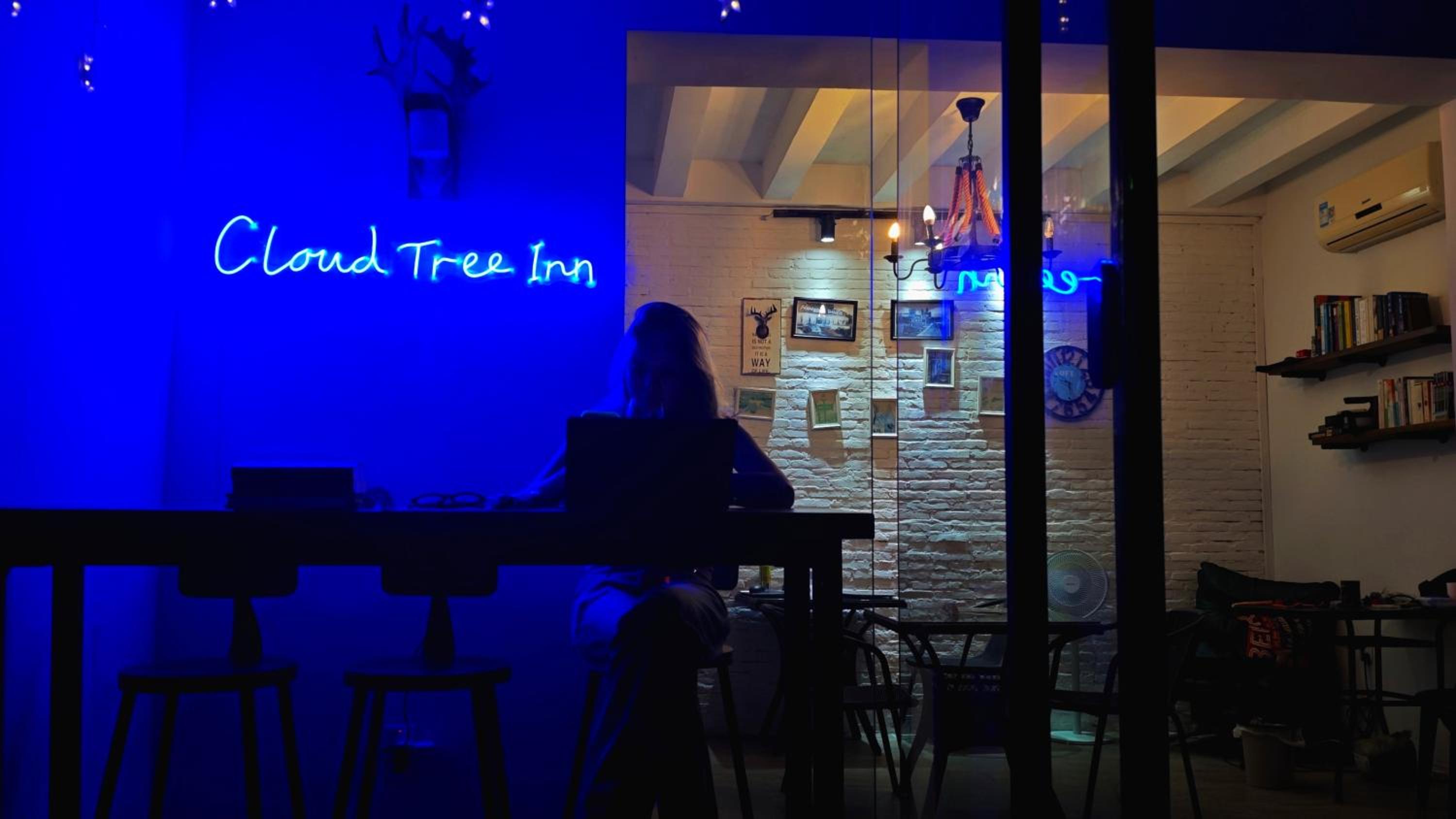 Cloud Tree Inn Boutique Guesthouse XiChong DaPeng ShenZhen 深圳大鹏西涌云树里民宿Yun Shu Li