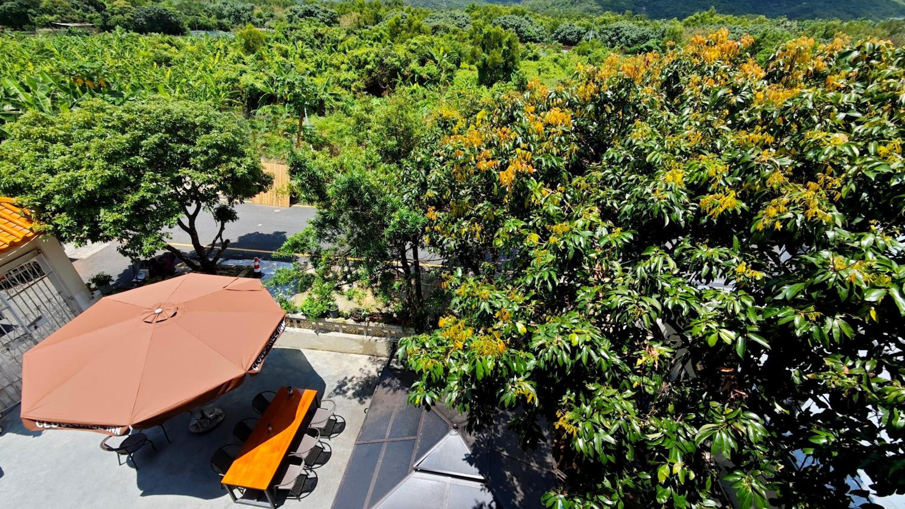 Cloud Tree Inn Boutique Guesthouse XiChong DaPeng ShenZhen 深圳大鹏西涌云树里民宿Yun Shu Li
