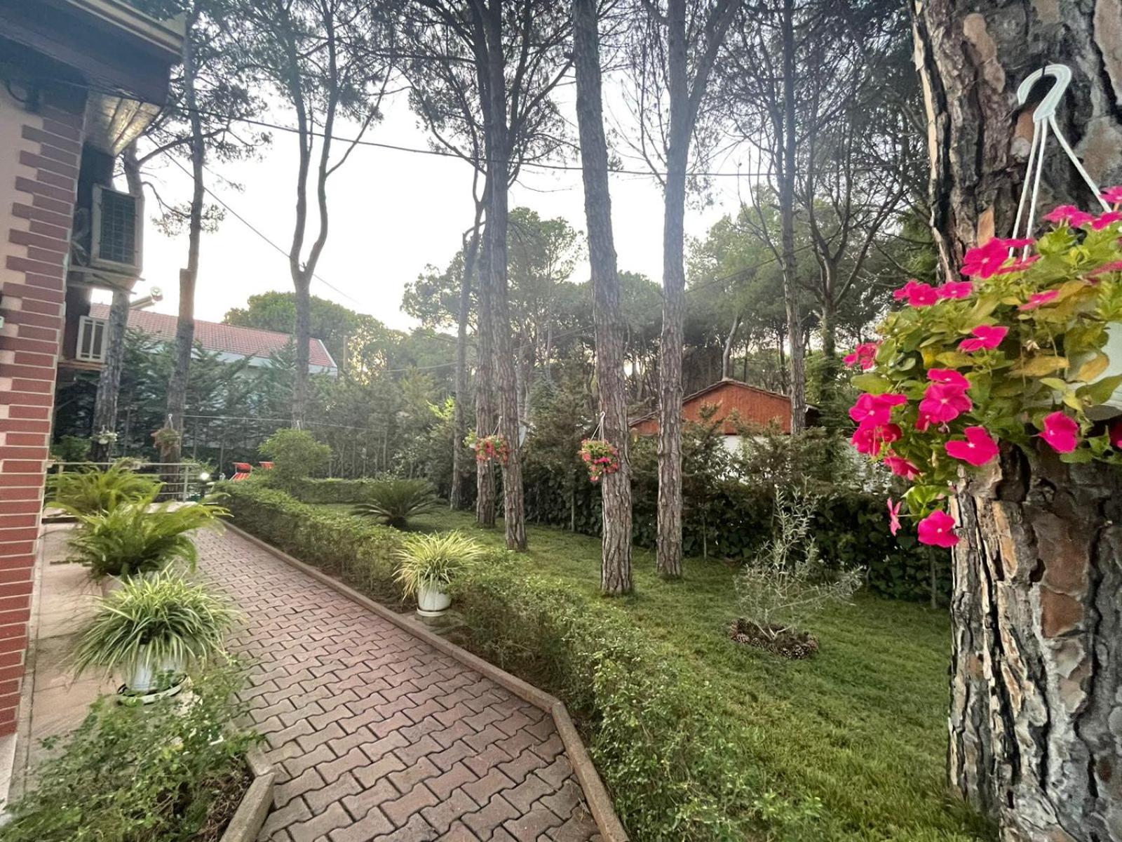 Seafront Villa with a Stunning Garden